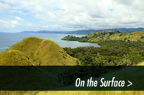 Photo gallery Komodo NP on-the-surface