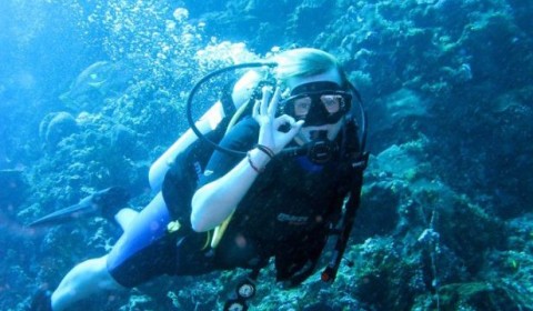 Discover Scuba Experience