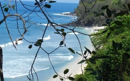 Flores coastline
