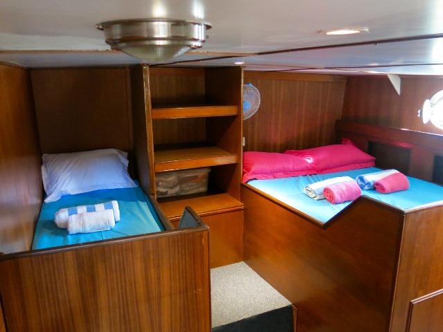 cabin-d