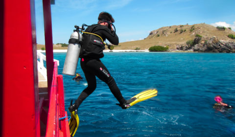 Jumping into the water before swimming with reef sharks at Komodo National Park.