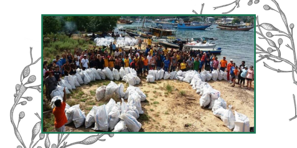 Beach cleanup photo