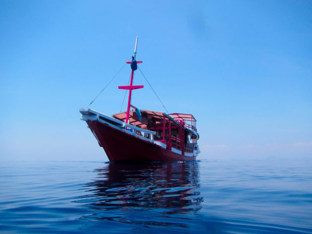 Here at flores diving centre, we offer daily boat trips to all the top dive sites across Komodo National Park. Visit our website to find out more. 