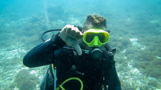 This diving hand signal is used to tell others you are descending or that you want other divers to descend. This is shown with a thumbs down,