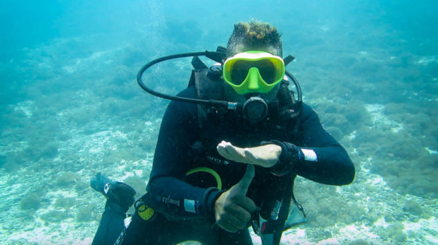 This diving hand signal is used when you want your buddy to come up to your level. This is a common scuba hand signal used in Komodo.