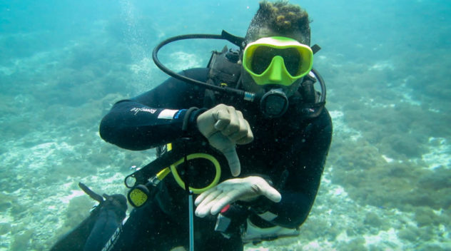 This diving hand signal is used when you want your buddy to come down to your level. This is a common scuba hand signal used in Komodo.