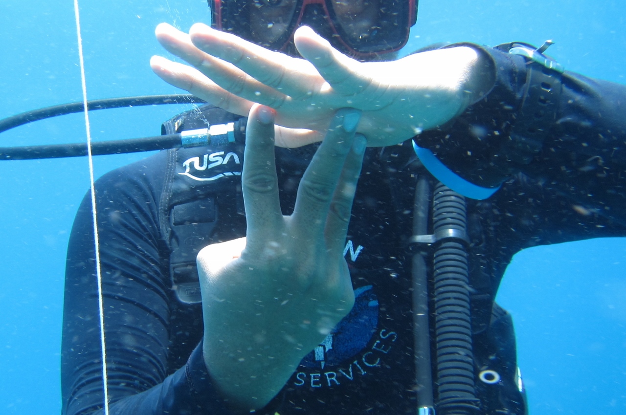This hand signal is used to tell divers that it is time to ascend to 5 meters and do a 3 min safety stop